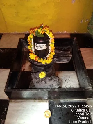 KAILASA India Uttar Pradesh Kashi 221001 on 2/24/2022