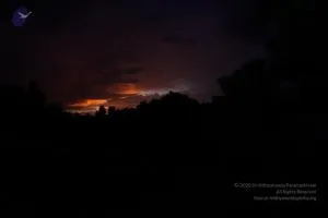 August 10 2011