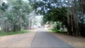 2000 - Acharapakkam (Nadu Pazhani)