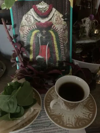 KAILASA LATIN AMERICA on 11/3/2021