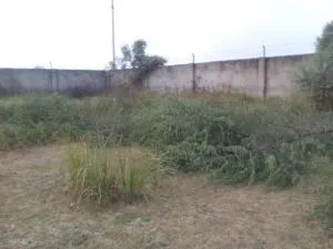 Kailaasa Paramparagatha Mahanirvani Peetham