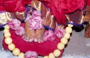January 11 2001 - Day 3 of Chandi Homa in Kavunthapadi