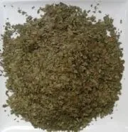 Neem2.jpg