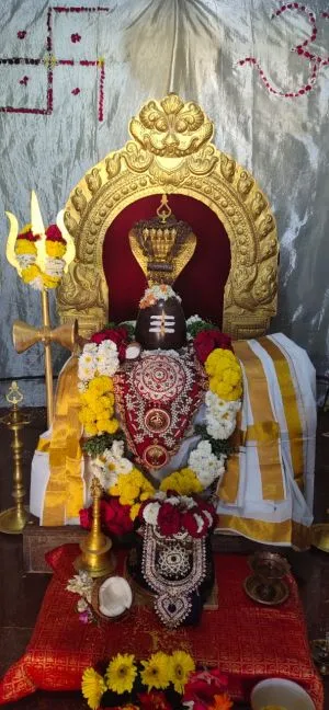 KAILASA HYDERABAD, INDIA on 3/12/2021