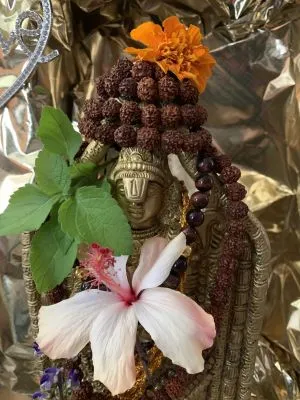 KAILASA LATIN AMERICA on 9/29/2021