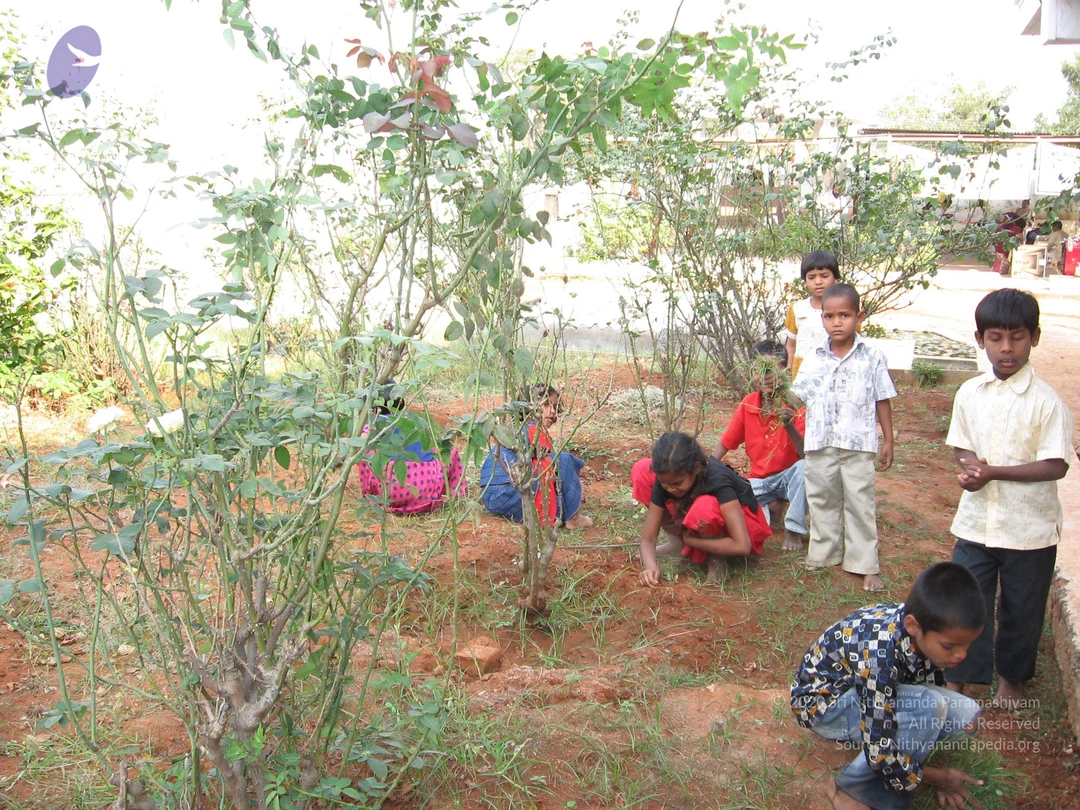 A photograph of a garden plot with reddish-brown soil and green shrubs, where several children are working outdoors. A girl in a black top and red trousers kneels and digs in the soil in the centre, and a boy in a red shirt crouches nearby. A boy in a blue checked shirt crouches in the lower right, and a boy in a light patterned shirt and beige trousers stands in the middle, with another boy in a cream shirt at the right edge. Two more children in pink and blue are partly hidden behind the bushes on the left. A small building and a red object are visible in the background.