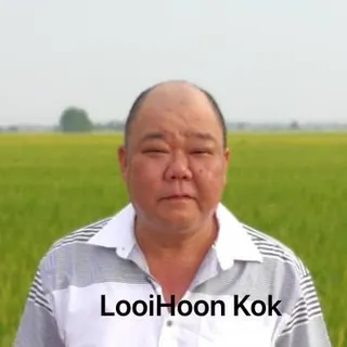 TEST PAGE
