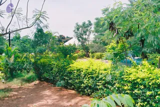 2002-2003-ASP-Programs-At-Devanahalli-Bangalore