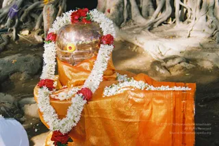 2003-SWAMIJI-PERFORMING-POOJA-UNDER-BANYAN-TREE
