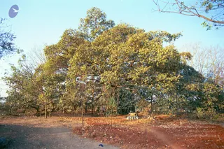 2003-TO-2007-VISUALS-OF-AADIKAILAASA