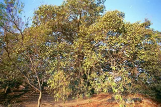 2003-TO-2007-VISUALS-OF-AADIKAILAASA