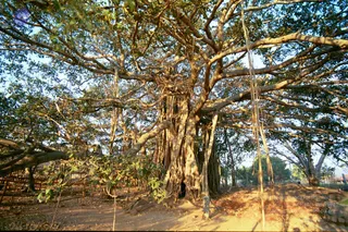 2003-TO-2007-VISUALS-OF-AADIKAILAASA