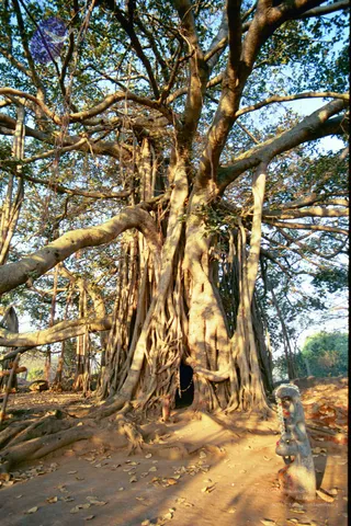2003-TO-2007-VISUALS-OF-AADIKAILAASA