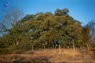 2003-TO-2007-VISUALS-OF-AADIKAILAASA