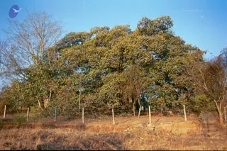 2003-TO-2007-VISUALS-OF-AADIKAILAASA