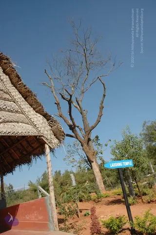 2003-TO-2007-VISUALS-OF-AADIKAILAASA