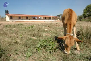 2003-TO-2007-VISUALS-OF-AADIKAILAASA