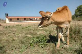 2003-TO-2007-VISUALS-OF-AADIKAILAASA