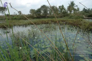 2003-TO-2007-VISUALS-OF-AADIKAILAASA