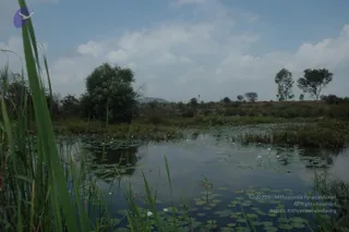 2003-TO-2007-VISUALS-OF-AADIKAILAASA
