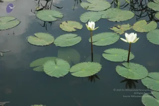 2003-TO-2007-VISUALS-OF-AADIKAILAASA