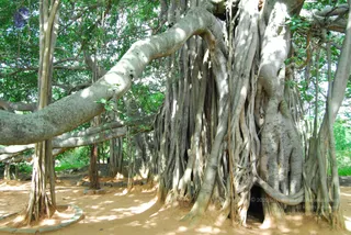 2003-TO-2007-VISUALS-OF-AADIKAILAASA