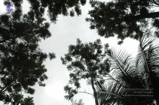 2003-TO-2007-VISUALS-OF-AADIKAILAASA