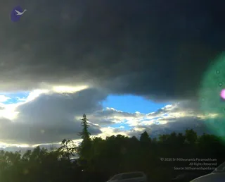 A photograph of a dramatic sky over a line of dark evergreen trees. Heavy dark storm clouds cover the upper frame, with a gap of bright blue sky and sunlit clouds breaking through near the centre. A tall conifer stands among the treeline, and the bottom edge shows the tops of parked cars. A lens flare with a green and magenta glow appears at the right edge. No people are visible.