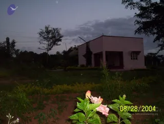 A small pink single-storey building with a covered front porch and a wooden door stands in a grassy yard at dusk. Tall trees and power lines frame the scene under a grey evening sky. In the foreground, pink hibiscus flowers with buds grow among green leaves and low hedges. A date stamp on the lower right reads 08/28/2004. No people are visible.