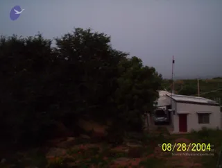 A dusky evening photograph of a rural compound. A large dense tree dominates the left, with a low white building with a red door and a dark vehicle parked beside it on the right. A tall thin pole and power lines stand beyond, over open flat land under a pale grey sky. Dry earth and scrubby plants fill the foreground. No people are visible.