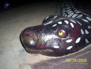 Close photo of a large painted serpent sculpture lying on a stone-tiled floor at night. The head is dark maroon with white spots and black cross-hatched markings, a glowing yellow eye with a red rim, and a red-tipped snout. The scaled body curves away to the upper right, lit by a flash against the dark surroundings. A small oil lamp flame is faintly visible near the top edge. No people are visible in the frame.