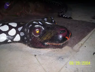 A photograph taken at night of a large painted serpent sculpture lying on a concrete pavement. The snake has a glossy black head with a dark red snout, olive-yellow scale-like cross-hatching, a golden-yellow eye with a red iris, and an orange line along its mouth and nose. Its body is dark with white and grey spots and extends back into the darkness beyond a brick-coloured wall. A timestamp in the lower right reads 08/28/2004. No people are visible.