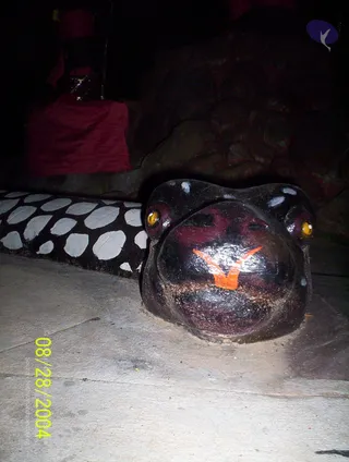 A photograph taken at night of a painted sculpture of a black serpent with a large head resting on a light grey stone floor. The snake has yellow glass-like eyes, a red and orange painted mouth marking, and a body decorated with white oval spots. Behind it, a red draped cloth covers a seat or platform, and a dark rock-textured backdrop fills the background. No people are visible.