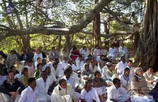 Outdoor gathering of a large seated audience beneath a wide-spreading banyan tree with hanging aerial roots and thick low branches. Many people sit on the ground or on white plastic chairs in the shade, mostly dressed in white kurtas, shirts and salwar-kameez, with some women in saffron, pink, green and beige shawls and saris. A man in a dark jacket sits at far left, and an older woman in a beige shawl sits at right. Several attendees wear lanyards. The gathering appears to be a satsang or discourse, but no speaker or dais is visible. No identifiable a person figure is visible in the frame.