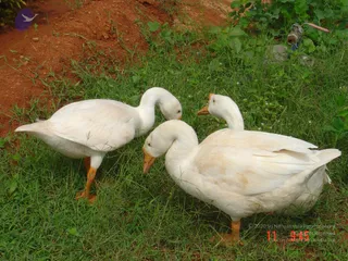 DSC01440_CMP_WM