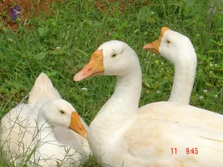 DSC01442_CMP_WM