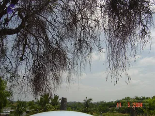 DSC01450_CMP_WM