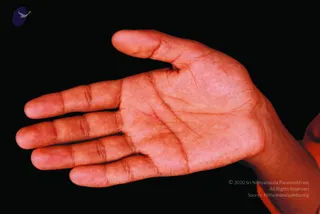 2004-ManyMoods Of The Master
