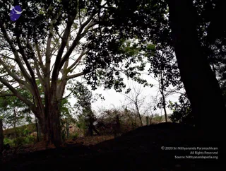 100_1922_CMP_WM