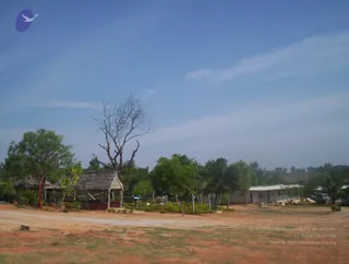 April 24 2005