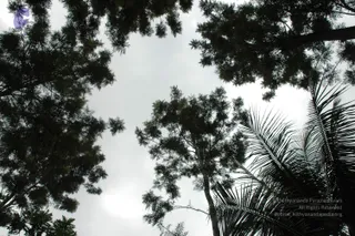 DSC_0445_CMP_WM