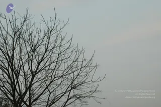 DSC_0472_CMP_WM