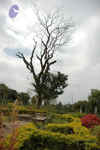 Img0044_CMP_WM