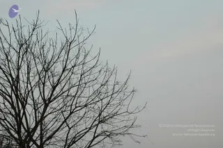 Img0085_CMP_WM