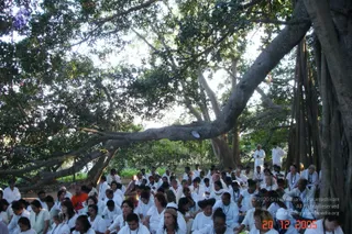 DSC00010_CMP_WM