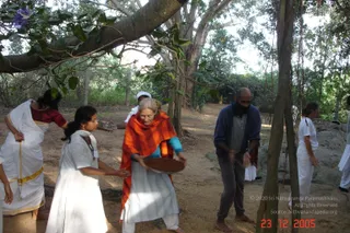 DSC00052_CMP_WM