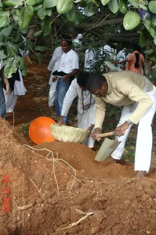 eDSC00004_CMP_WM