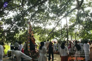 eDSC00067_CMP_WM