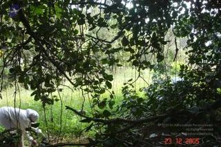 eDSC00075_CMP_WM