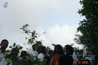 eDSC00001_CMP_WM